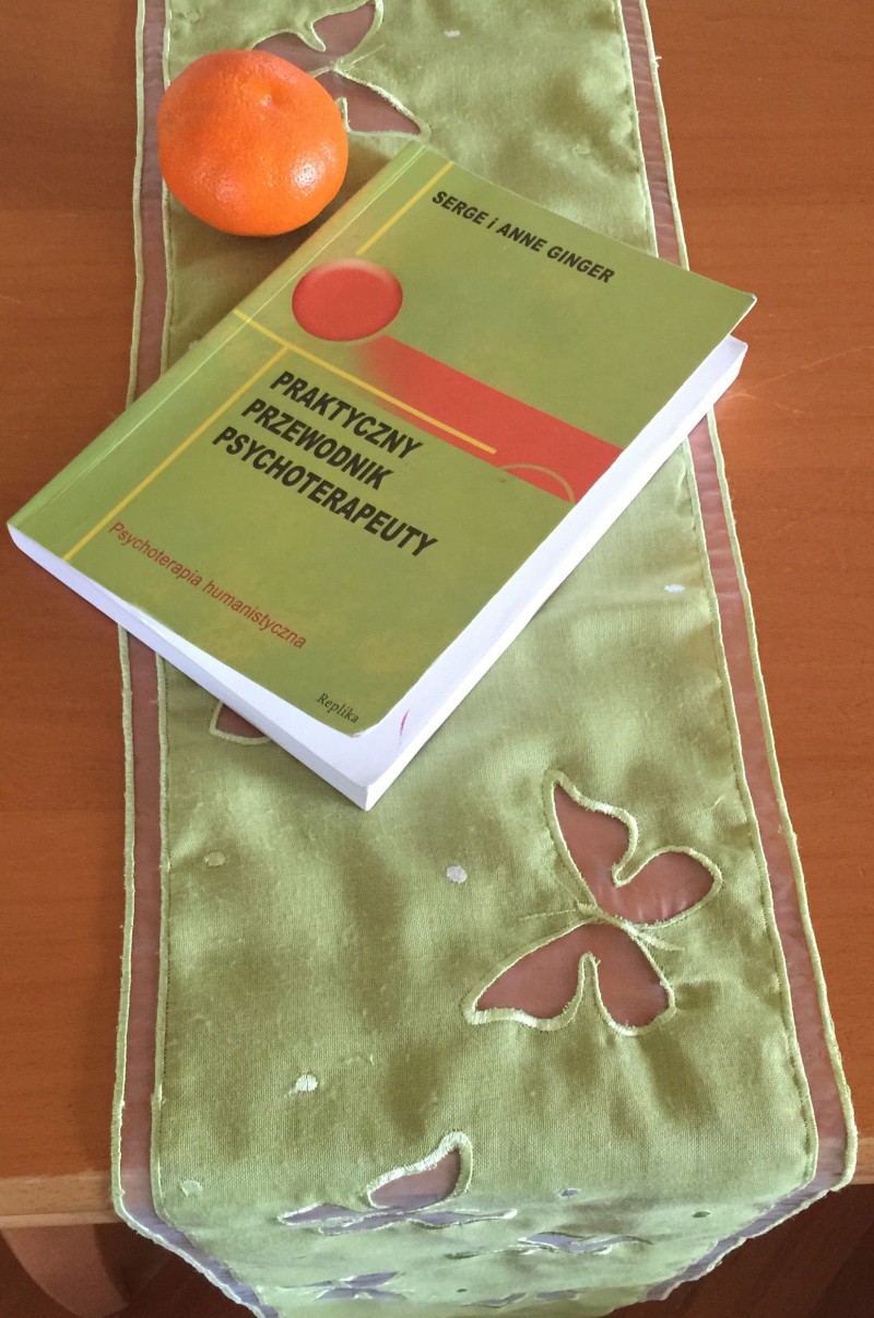 Read more about the article Praktyczny przewodnik psychoterapeuty  Serge i Anne Ginger