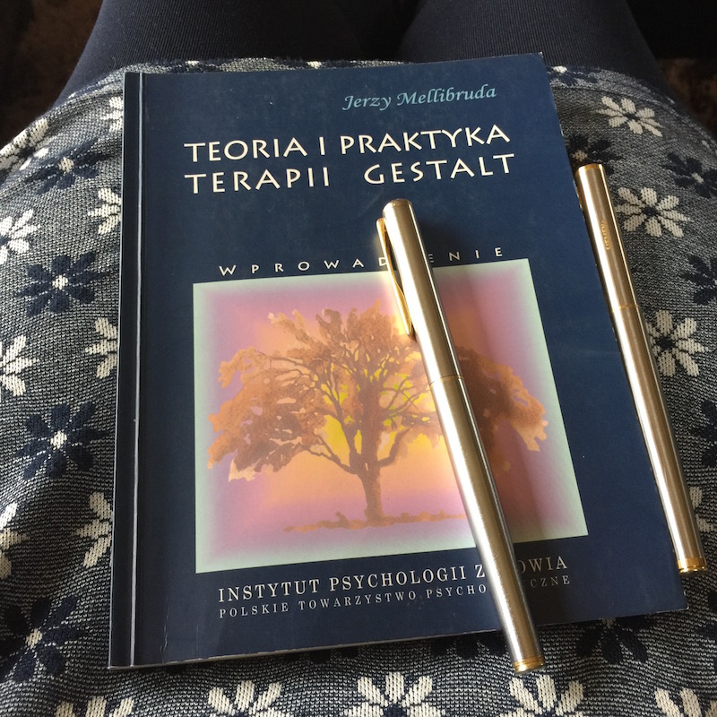 Read more about the article Teoria i praktyka terapii Gestalt Jerzy Mellibruda